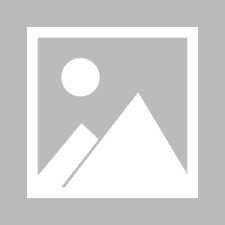 爱游戏官网-丹麦 队